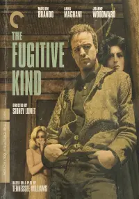 Poster to the movie "The Fugitive Kind" #159487