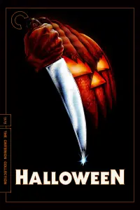 Poster to the movie "Halloween" #41529