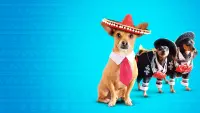 Backdrop to the movie "Beverly Hills Chihuahua 3: Viva la Fiesta!" #326030