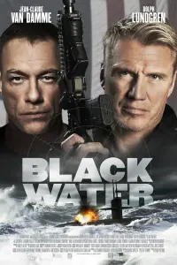 Poster to the movie "Black Water" #102704