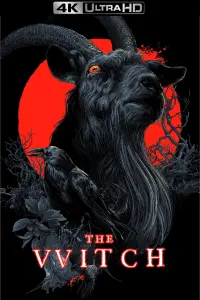 Poster to the movie "The Witch" #66190