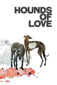 Poster to the movie "Hounds of Love" #304528