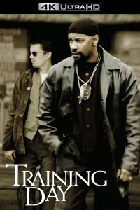 Poster to the movie "Training Day" #211500