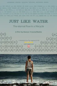 Poster to the movie "Just Like Water" #367246