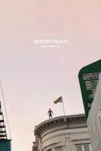 Poster to the movie "Spider-Man: Homecoming" #173211