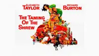 Backdrop to the movie "The Taming of the Shrew" #347230