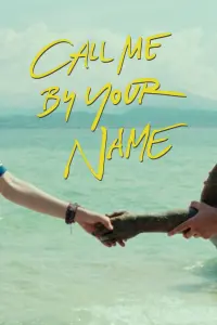 Poster to the movie "Call Me by Your Name" #37235