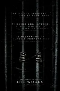 Poster to the movie "Blair Witch" #91001