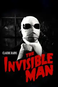 Poster to the movie "The Invisible Man" #126105