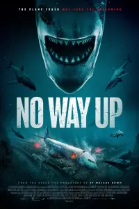 Poster to the movie "No Way Up" #161860