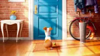 Backdrop to the movie "The Secret Life of Pets" #293689