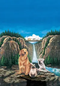 Poster to the movie "Homeward Bound: The Incredible Journey" #444949