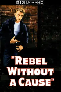 Poster to the movie "Rebel Without a Cause" #121097