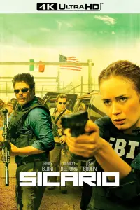 Poster to the movie "Sicario" #39644