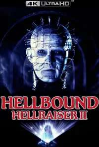 Poster to the movie "Hellbound: Hellraiser II" #97640