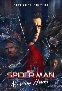 Poster to the movie "Spider-Man: No Way Home" #3463