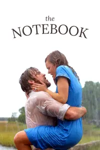 Poster to the movie "The Notebook" #31041