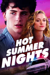 Poster to the movie "Hot Summer Nights" #136475