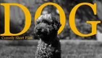 Backdrop to the movie "Dog (The Mockumentary)" #568079