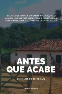 Poster to the movie "Antes Que Acabe" #645760