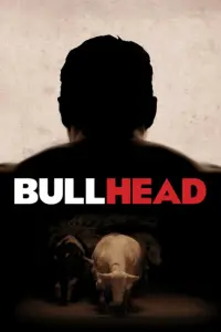 Poster to the movie "Bullhead" #639644