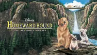 Backdrop to the movie "Homeward Bound: The Incredible Journey" #251058