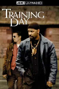 Poster to the movie "Training Day" #211499