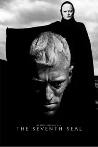 Poster to the movie "The Seventh Seal" #99377