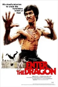 Poster to the movie "Enter the Dragon" #65987