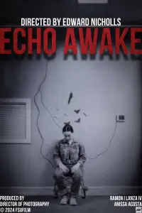 Poster to the movie "Echo Awake" #647875