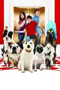 Poster to the movie "Hotel for Dogs" #306701