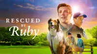 Backdrop to the movie "Rescued by Ruby" #97988