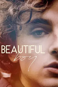 Poster to the movie "Beautiful Boy" #98526