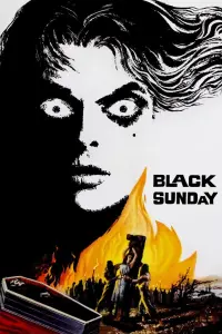 Poster to the movie "Black Sunday" #211569