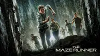 Backdrop to the movie "The Maze Runner" #7899