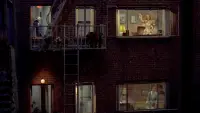 Backdrop to the movie "Rear Window" #174388