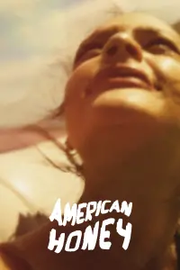 Poster to the movie "American Honey" #261727