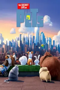 Poster to the movie "The Secret Life of Pets" #152774