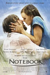 Poster to the movie "The Notebook" #31036