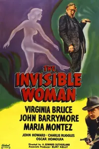 The Invisible Woman