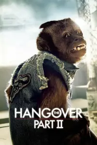 Poster to the movie "The Hangover Part II" #315601