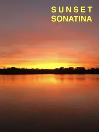 Poster to the movie "Sunset Sonatina" #599442