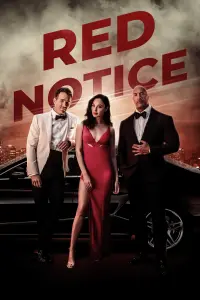 Poster to the movie "Red Notice" #29535