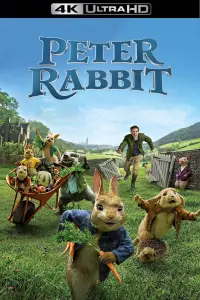 Poster to the movie "Peter Rabbit" #97186