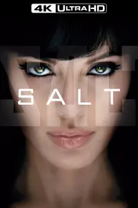 Poster to the movie "Salt" #73134