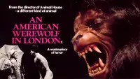 Backdrop to the movie "An American Werewolf in London" #50291