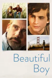 Poster to the movie "Beautiful Boy" #98525