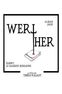 Poster to the movie "Werther" #509266