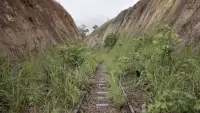 Backdrop to the movie "Congo-Océan, un chemin de fer et de sang" #470268