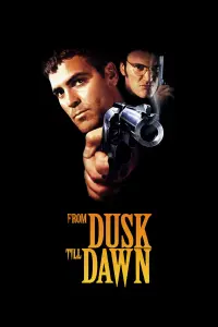 Poster to the movie "From Dusk Till Dawn" #69465